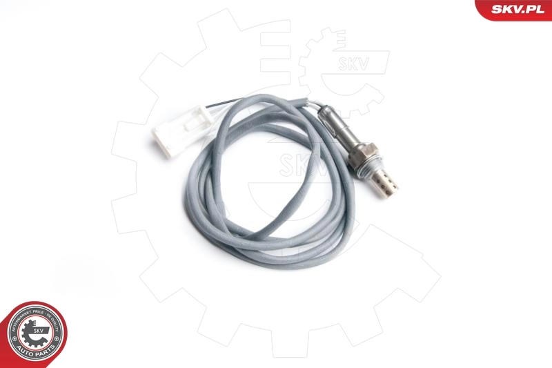 Oxygen Sensor